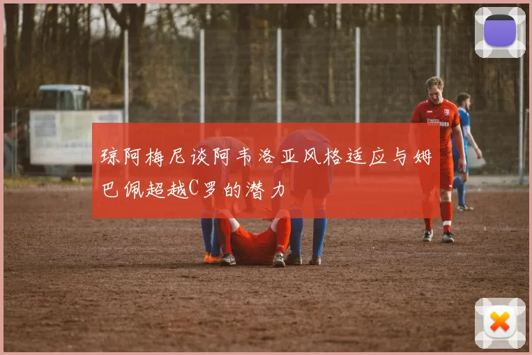 琼阿梅尼谈阿韦洛亚风格适应与姆巴佩超越C罗的潜力