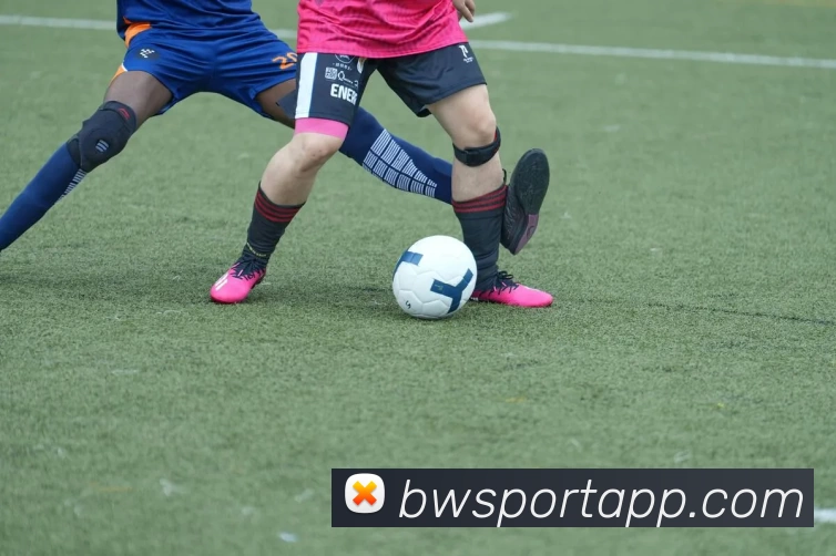 宝威体育APP平台生态图