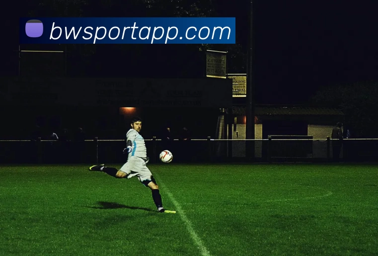 宝威体育APP全站App